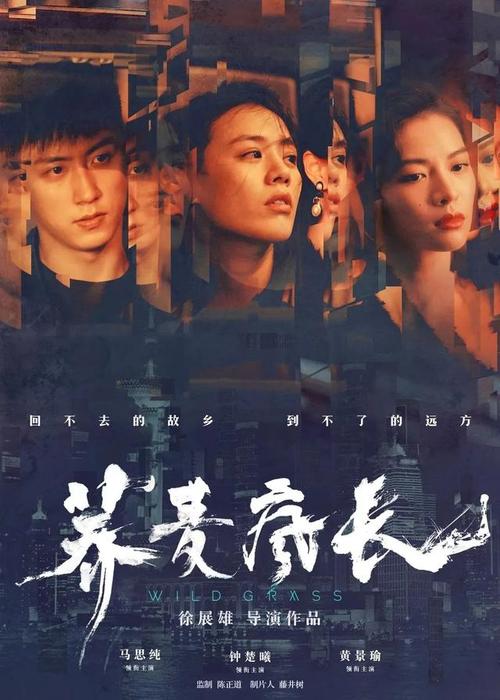 奈梅亨拉德伯德大学金融文凭证书